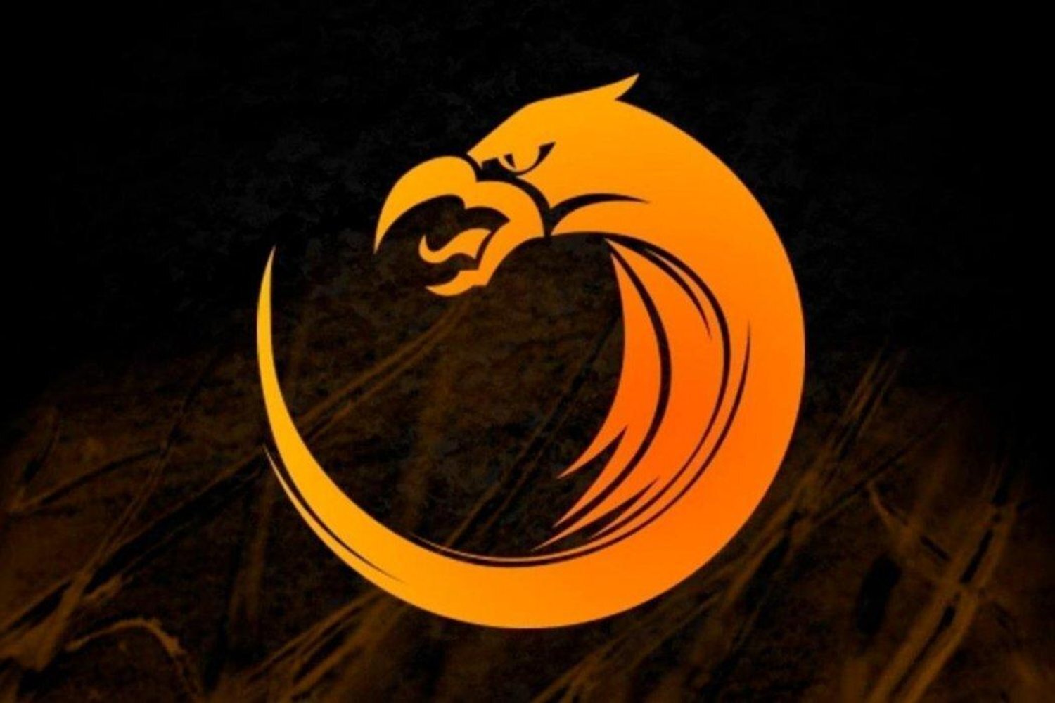 Valve issued a ban that prevents Kuku from attending the Chongqing Major and fined TNC 20% of their DPC points.