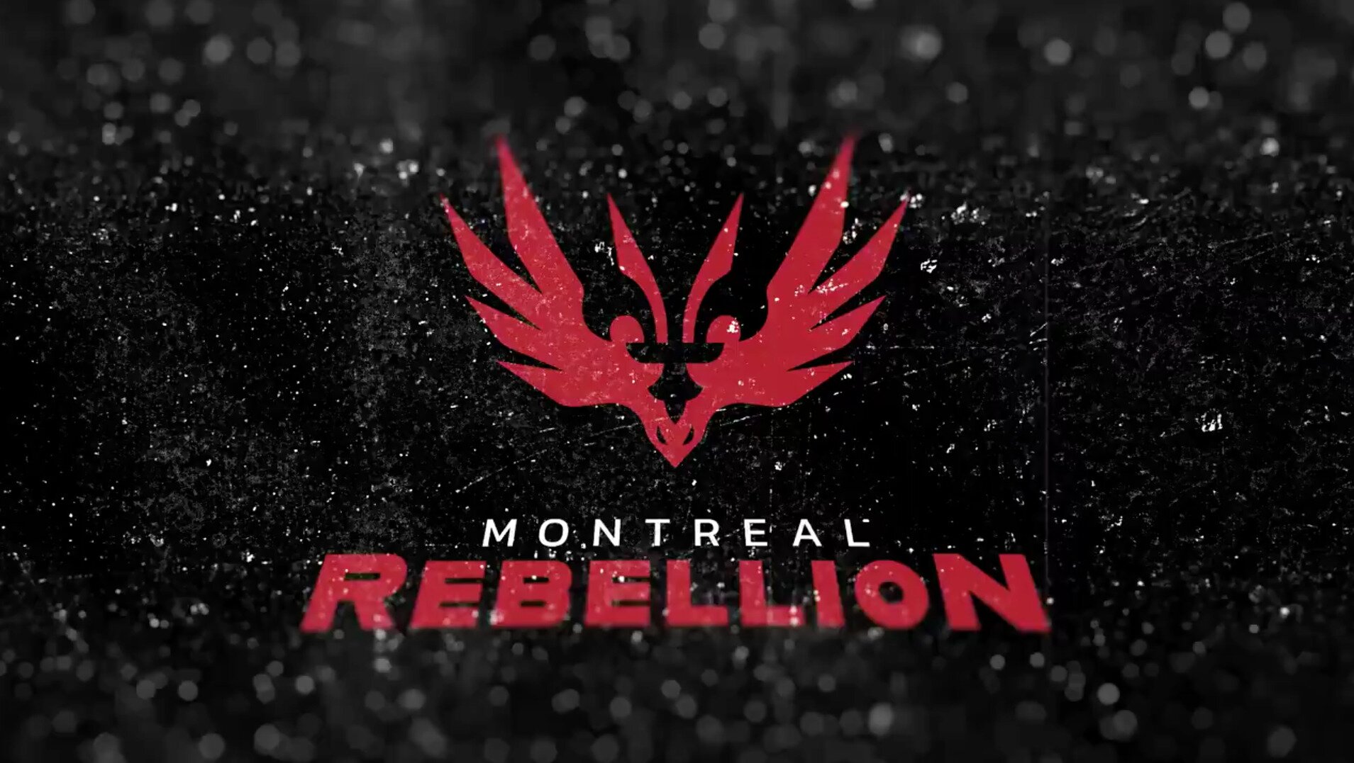 With a logo that proudly incorporates a bird, the fleur-de-lis and an “m”, the Montreal Rebellion are set to be a big contender this season.