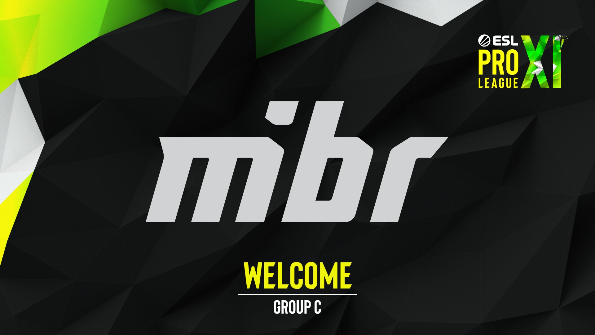 MiBR will be replacing Sharks in Group C of Pro League Season 11 (Image via ESL)