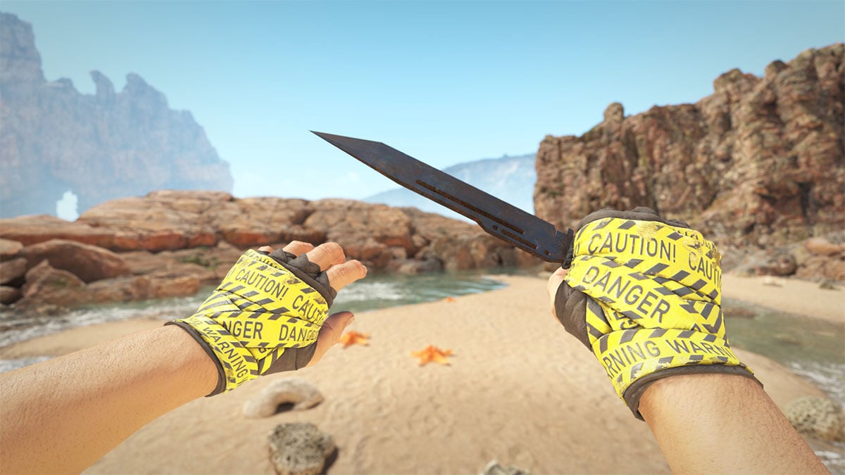 budget CS2 knife glove combos