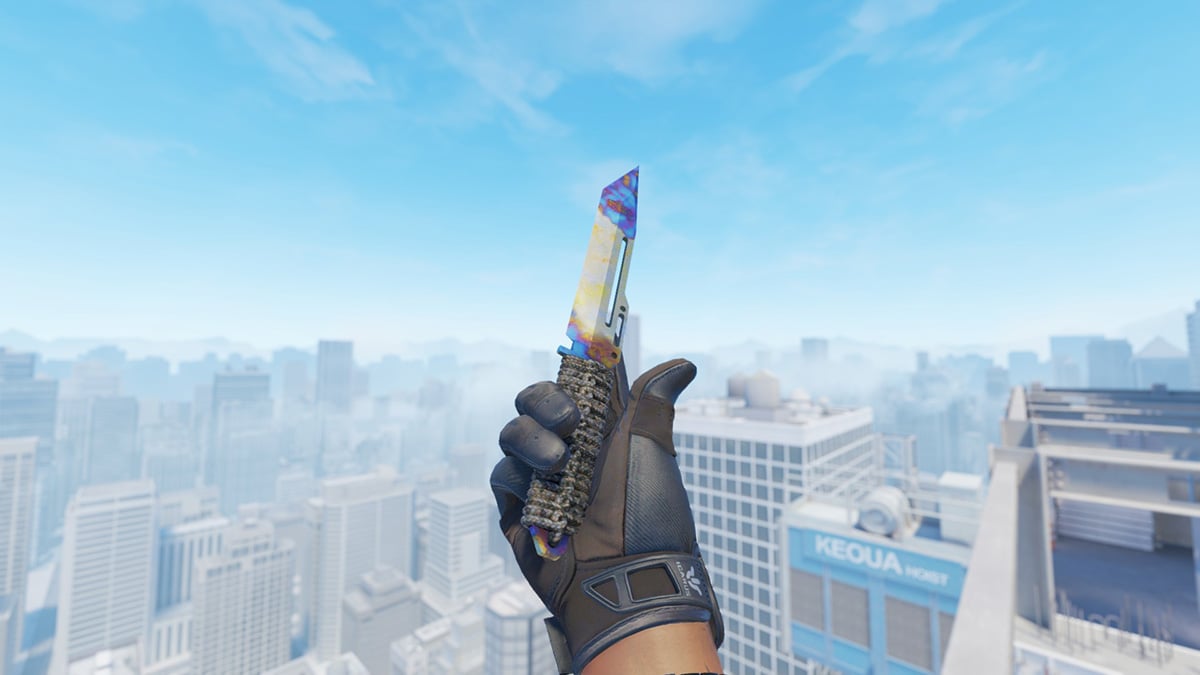 Paracord Knife Case Hardened (Best Cheap CS2 Knives)