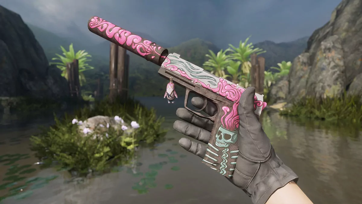 USP-S Cortex - Lil' Whiskers (CS2 Charm and Skin Combos)