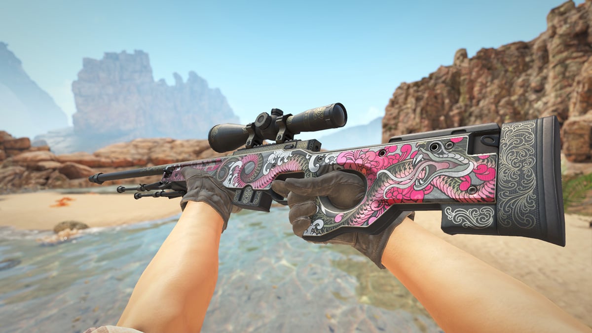 AWP Duality (CS2 Skins Under $5)