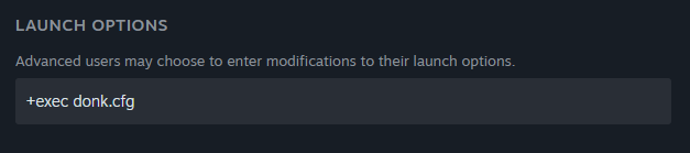 How to Execute Config in Launch Options (Image via Valve)