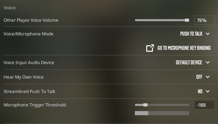 CS2 Voice Settings